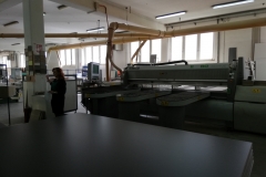 mseus-8
