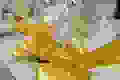 408205261_845354234257129_3764815468965092375_n