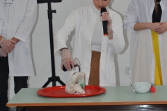 aDSC_0721