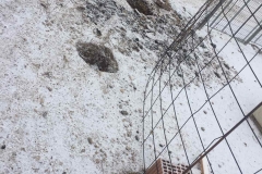 IMG-86577edec41640960c46e2297cad6537-V