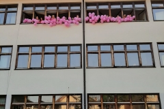 viber_image_2021-02-24_09-26-45