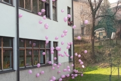 viber_image_2021-02-24_09-47-11