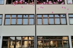 viber_image_2021-0dfh