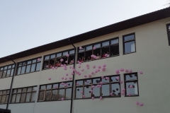 viber_image_2021gf-26-45